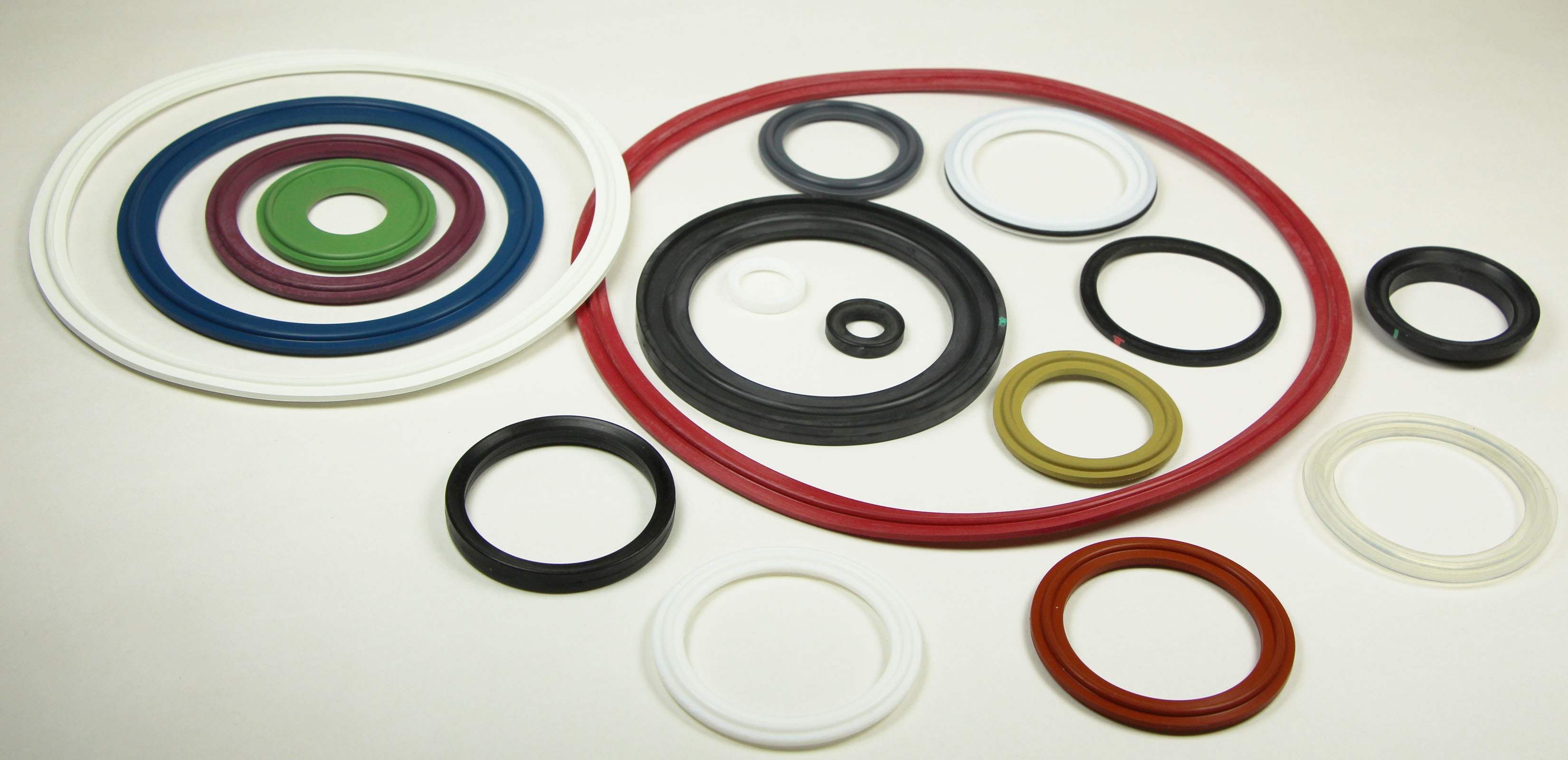 Sanitary Gaskets